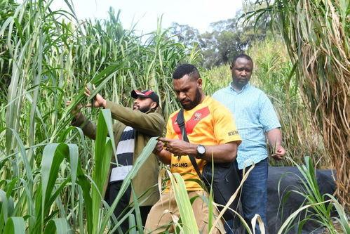 草在线观看100,深度解析热门影视作品背后的故事